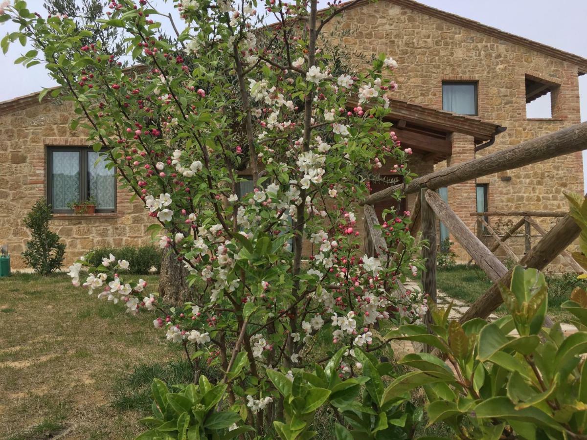Villa Residenza Al Poggio Degli Ulivi à Montepulciano Stazione Extérieur photo